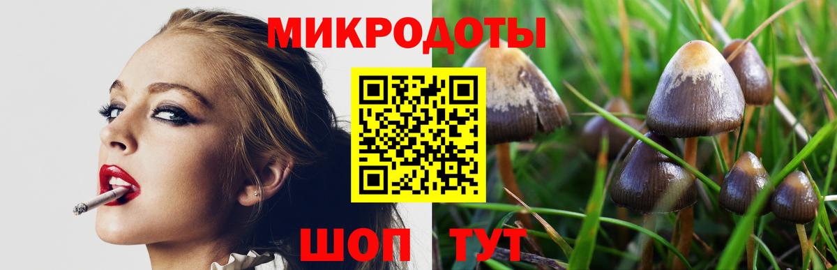 Галлюциногенные грибы прущие грибы  Вход с VPN  Луховицы 